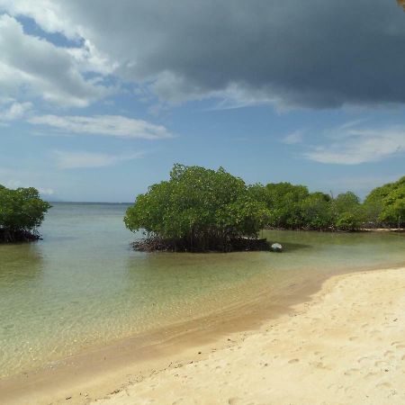 Mangrove Paradise Retreat Lembongan Exterior photo